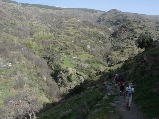 06-Capileira-Cebadilla-003