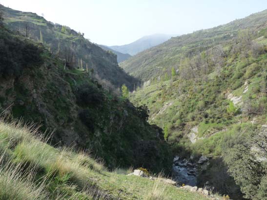 06-Capileira-Cebadilla-004