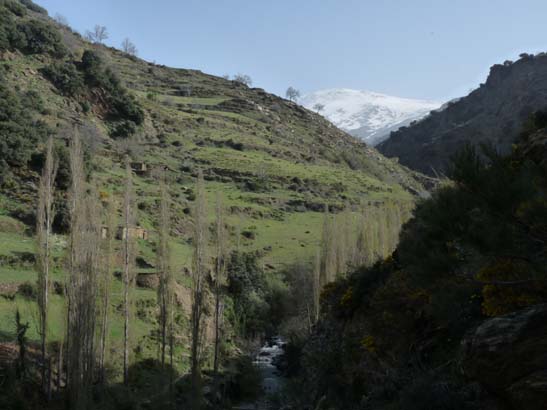 06-Capileira-Cebadilla-005