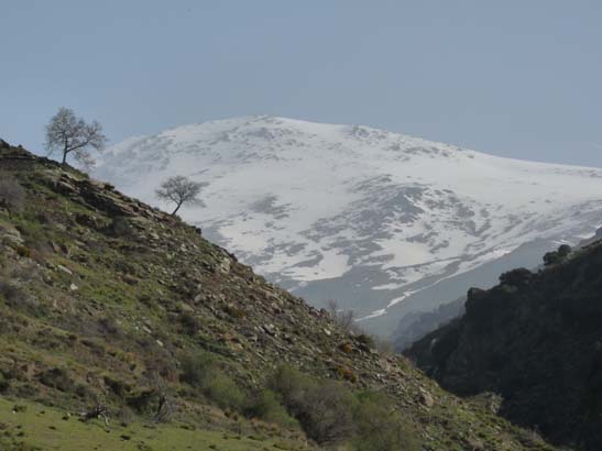 06-Capileira-Cebadilla-006