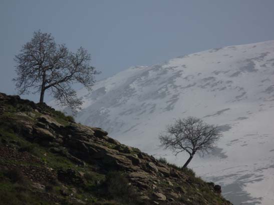 06-Capileira-Cebadilla-007