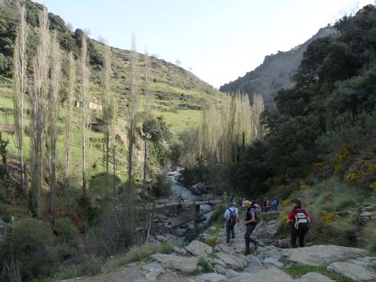 06-Capileira-Cebadilla-009