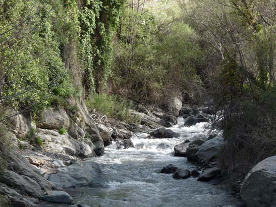 06-Capileira-Cebadilla-013