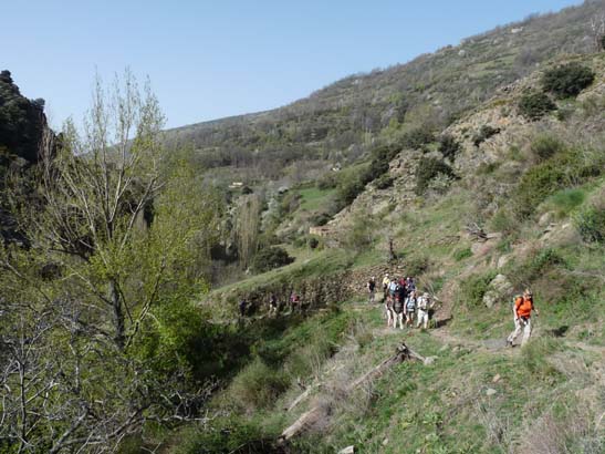 06-Capileira-Cebadilla-015