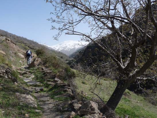 06-Capileira-Cebadilla-022