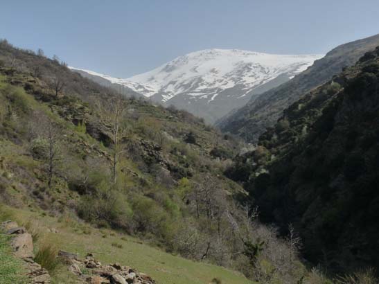 06-Capileira-Cebadilla-023