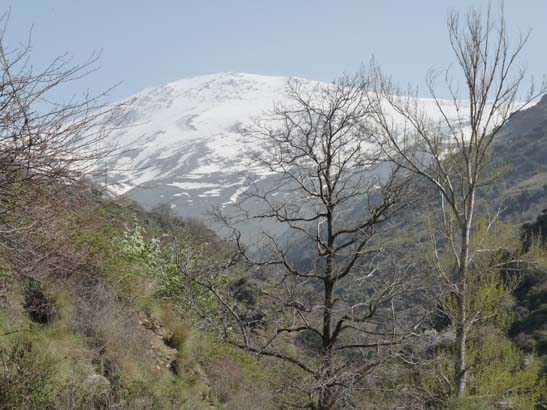 06-Capileira-Cebadilla-024