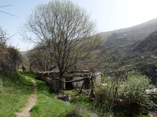 06-Capileira-Cebadilla-030