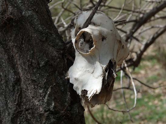 06-Capileira-Cebadilla-034