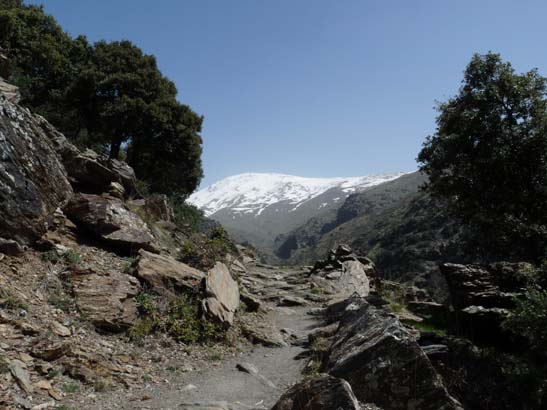 06-Capileira-Cebadilla-037