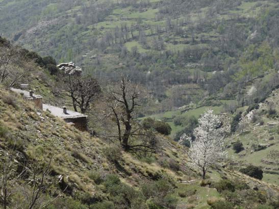 06-Capileira-Cebadilla-050