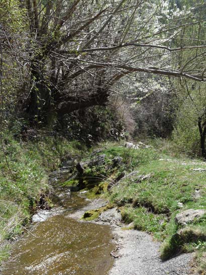 06-Capileira-Cebadilla-053