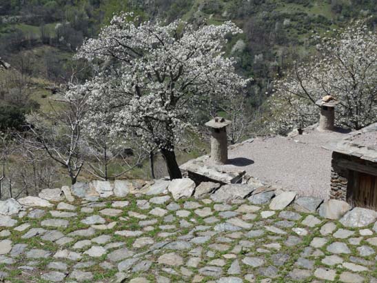 06-Capileira-Cebadilla-054