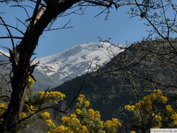 Bergwandern Sierra Nevada, Andalusien, Spanien