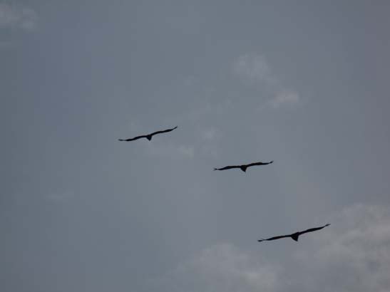 02-Virgen-de-la-Sierra--Zuheros-013