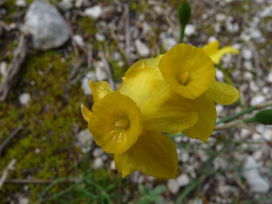 02-Virgen-de-la-Sierra--Zuheros-019