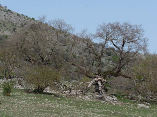 02-Virgen-de-la-Sierra--Zuheros-026