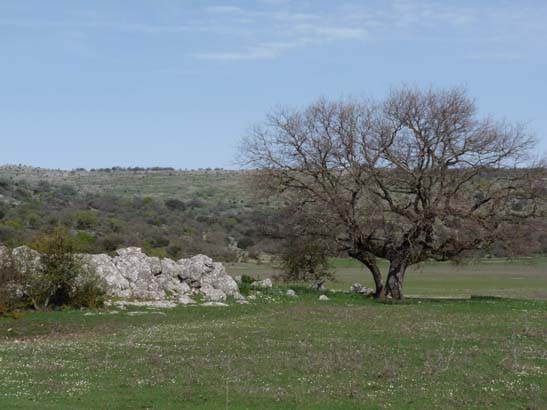 02-Virgen-de-la-Sierra--Zuheros-028