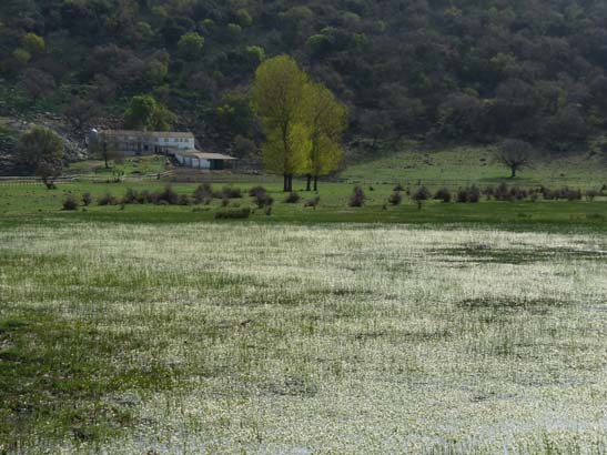 02-Virgen-de-la-Sierra--Zuheros-029