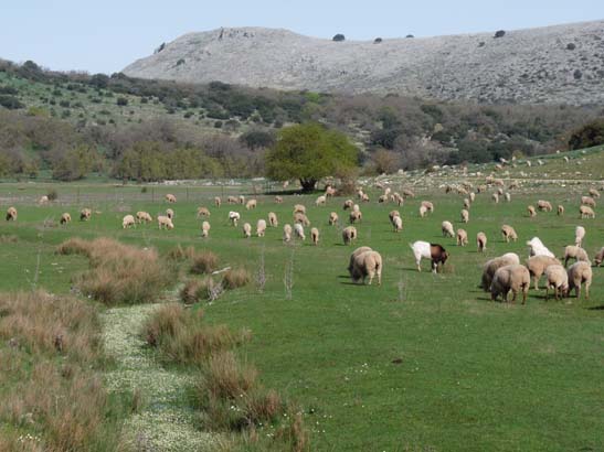 02-Virgen-de-la-Sierra--Zuheros-031