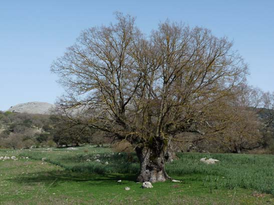 02-Virgen-de-la-Sierra--Zuheros-032