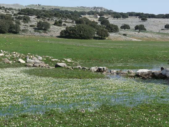 02-Virgen-de-la-Sierra--Zuheros-034