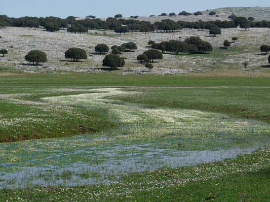 02-Virgen-de-la-Sierra--Zuheros-035