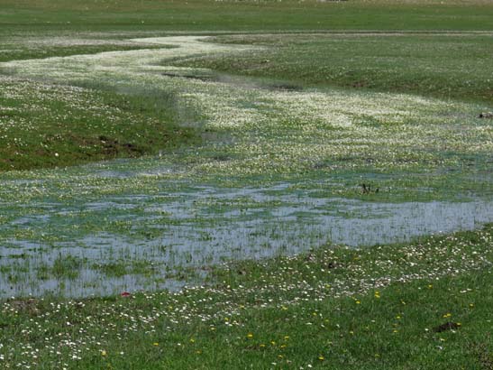 02-Virgen-de-la-Sierra--Zuheros-036