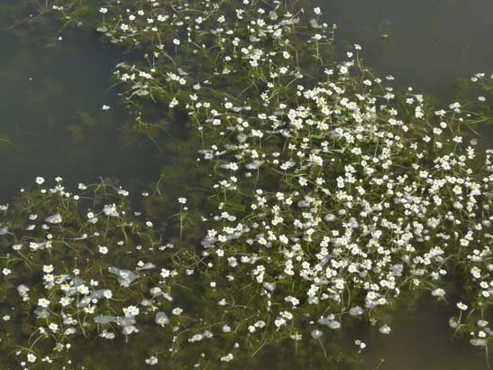 02-Virgen-de-la-Sierra--Zuheros-043