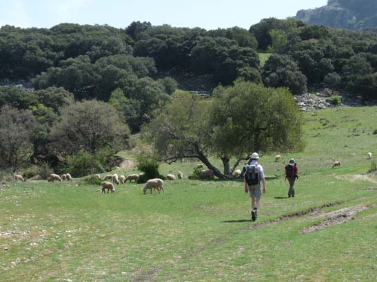 02-Virgen-de-la-Sierra--Zuheros-048