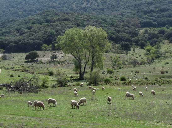 02-Virgen-de-la-Sierra--Zuheros-049