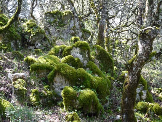 02-Virgen-de-la-Sierra--Zuheros-069