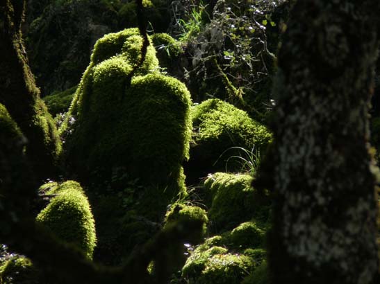 02-Virgen-de-la-Sierra--Zuheros-072