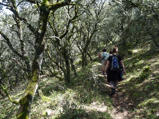 02-Virgen-de-la-Sierra--Zuheros-073