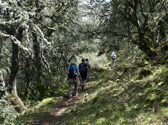 02-Virgen-de-la-Sierra--Zuheros-075