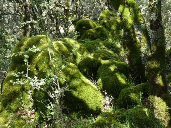 02-Virgen-de-la-Sierra--Zuheros-076