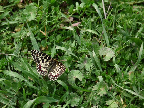 02-Virgen-de-la-Sierra--Zuheros-103