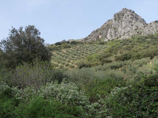 04-Los-Villares--Las-Lagunillas--Priego-004