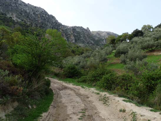 04-Los-Villares--Las-Lagunillas--Priego-005