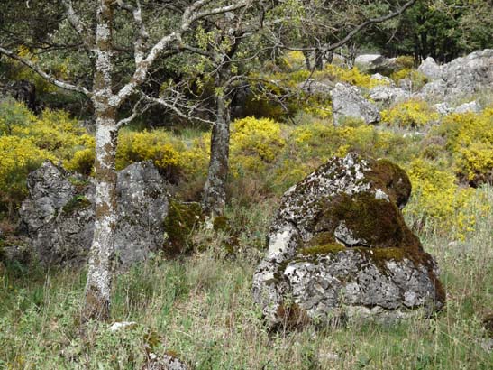 Wandern in Spanien