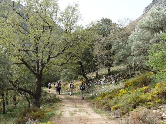 04-Los-Villares--Las-Lagunillas--Priego-013