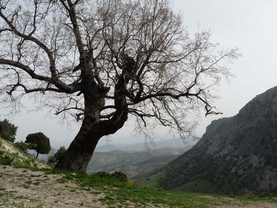 04-Los-Villares--Las-Lagunillas--Priego-020