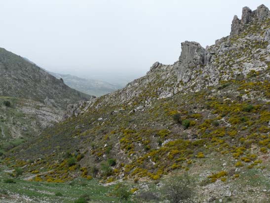 04-Los-Villares--Las-Lagunillas--Priego-041