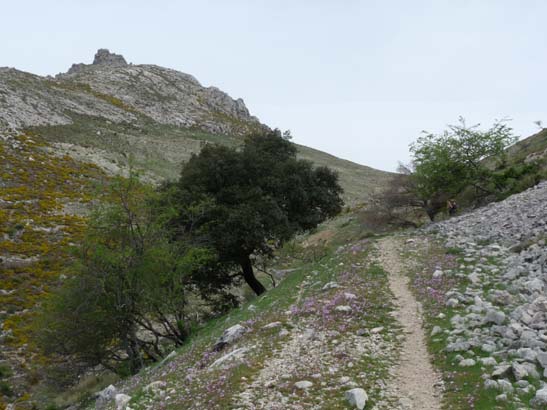 Sierra de la Horconera