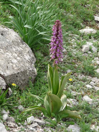 04-Los-Villares--Las-Lagunillas--Priego-047