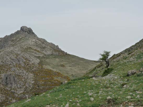 04-Los-Villares--Las-Lagunillas--Priego-049