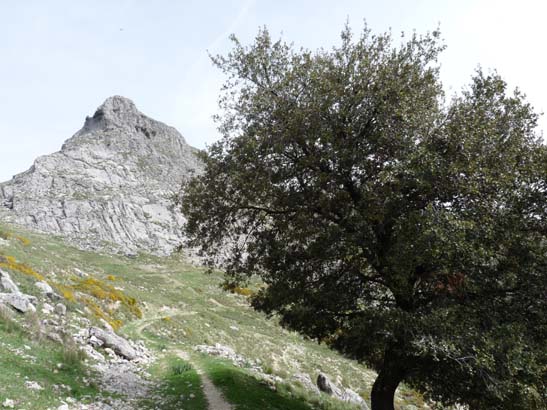 04-Los-Villares--Las-Lagunillas--Priego-052