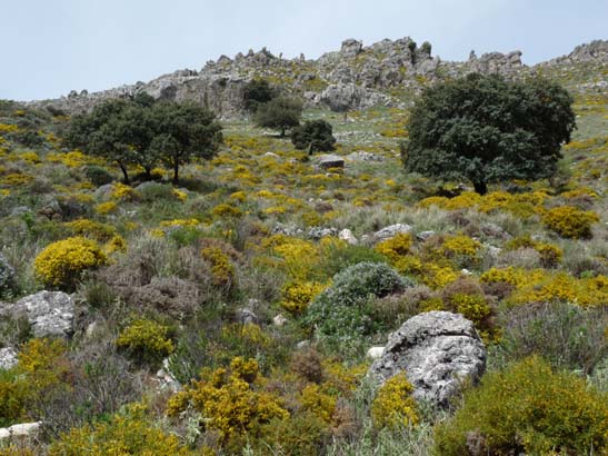 04-Los-Villares--Las-Lagunillas--Priego-055