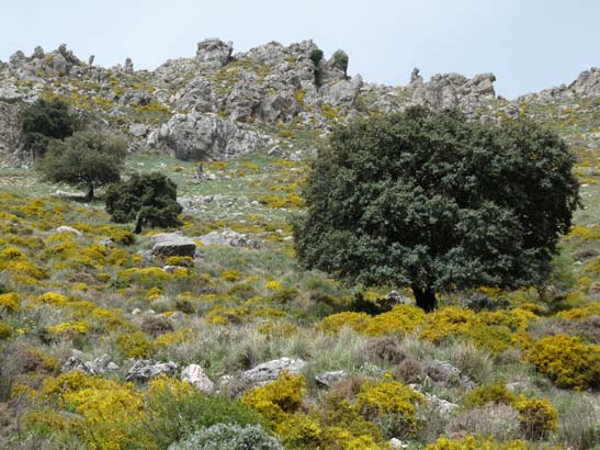 04-Los-Villares--Las-Lagunillas--Priego-056