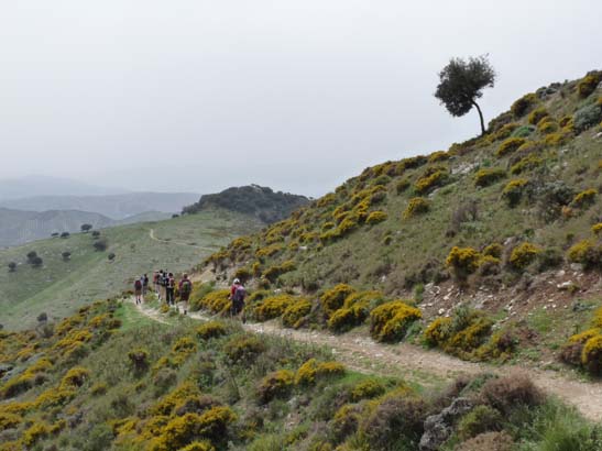 04-Los-Villares--Las-Lagunillas--Priego-057